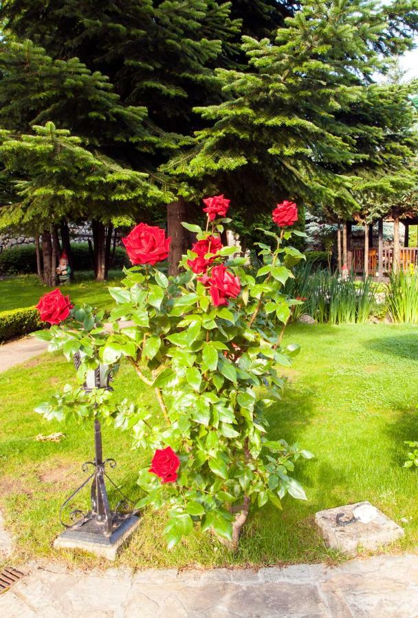 Hotel Tanne Bansko